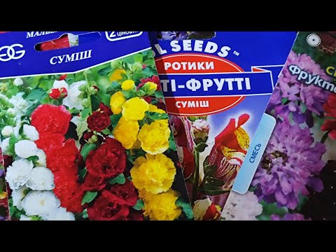 Відеоогляд: Як сіяти мальву